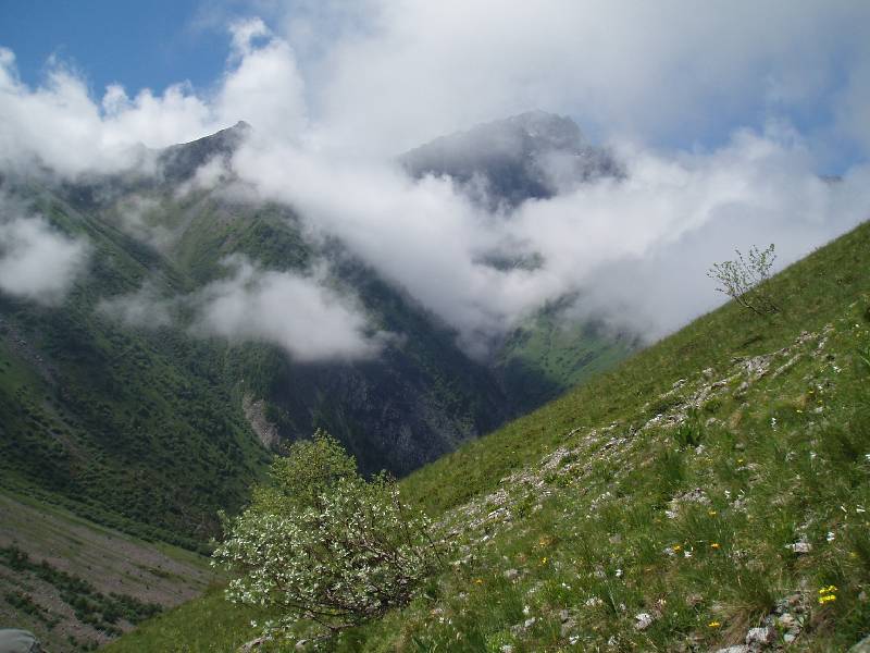 Youri - Ecrins 2005 279 